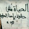 user41213350180248