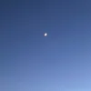 ayesha.xt
