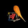 DODIK YULVA CANARY