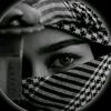 hlahla5353