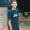 elbeem25