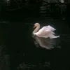 qweasdzxcvbnm