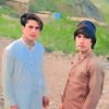 gul.zaib629