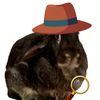 detectivebbooks