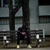 bole_buzz