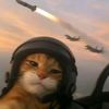 saad_vdx