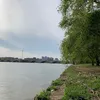 charlotte2911