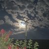 abdulaev_0066