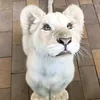 gracie.graci
