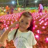 my.sha29