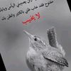 fairouza255