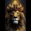 malik.sultan432