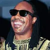 steviewonderhater