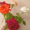 amal_901