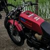 okiemtrapanca511