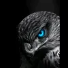 user42491466704445