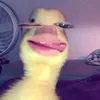 minhtramnehihi