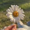 renata_9059