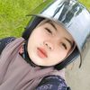 lumut505