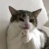 user6sc0ivko0y