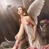 suijul.catab