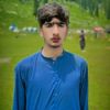 hamza.safi.313