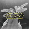 qdooali19
