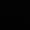 lynn_star4