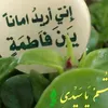 user5593262709921