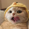 _banhmi_socola