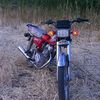user16801033481933