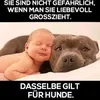 .derflawinwin