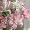 bao_han8284