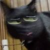11.0662