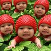 _paom5