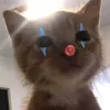 ĐucVinhh