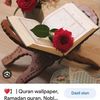 dalt.liyeva