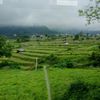 walutbajarang_
