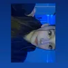 lara12310_