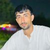 shahzadhussain7884