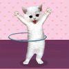 lolita_omg