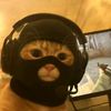 aprisukamusic_