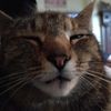 jonathancorcoran24