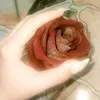 r.__hm1