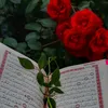 alhsnaoya2