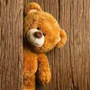 nooralzahraa080