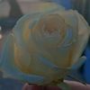 user73390ii