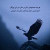 muhammad.omid.kas