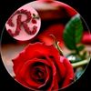 user4383242068792