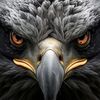 mahmoud.ahmed4585